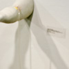 thumbnail of image